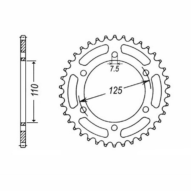 MPAT23-197-504