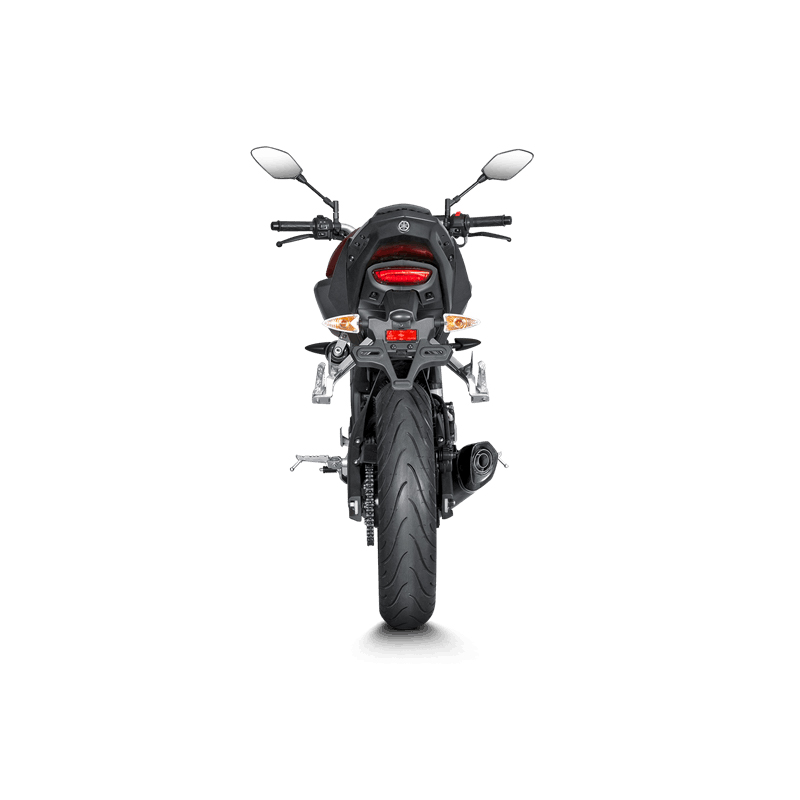 Akrapovic Racing Line (Titanium) Yamaha MT-125 201