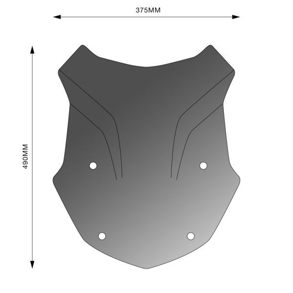 Windschild Plexiglas BMW R1250GS