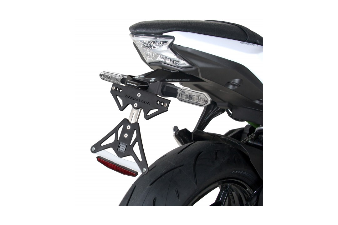 Kennzeichenhalter Kawasaki Z650 Ninja 650