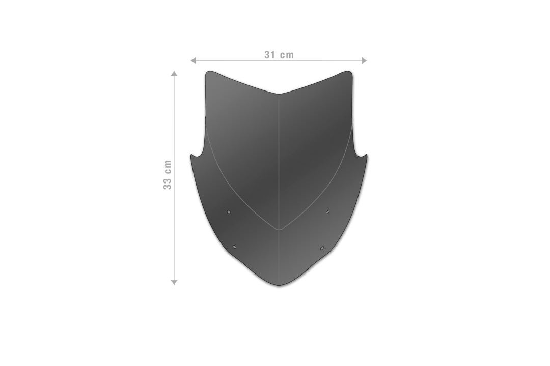 Windschild Plexiglas Yamaha MT07 2021 -