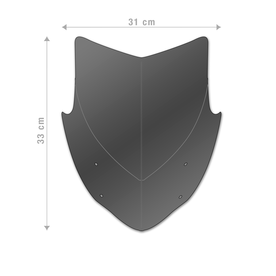 Windschild Plexiglas Yamaha MT-09 2024-