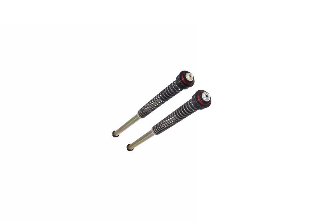 BITUBO Cartridge-Kit für BMW R nineT