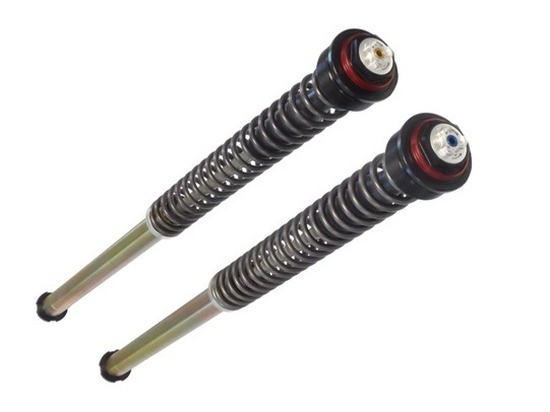 BITUBO Cartridge-Kit für Triumph Daytona 675