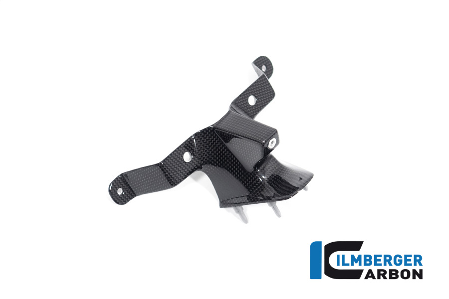 Armaturenabdeckung Carbon, Ducati Streetfighter