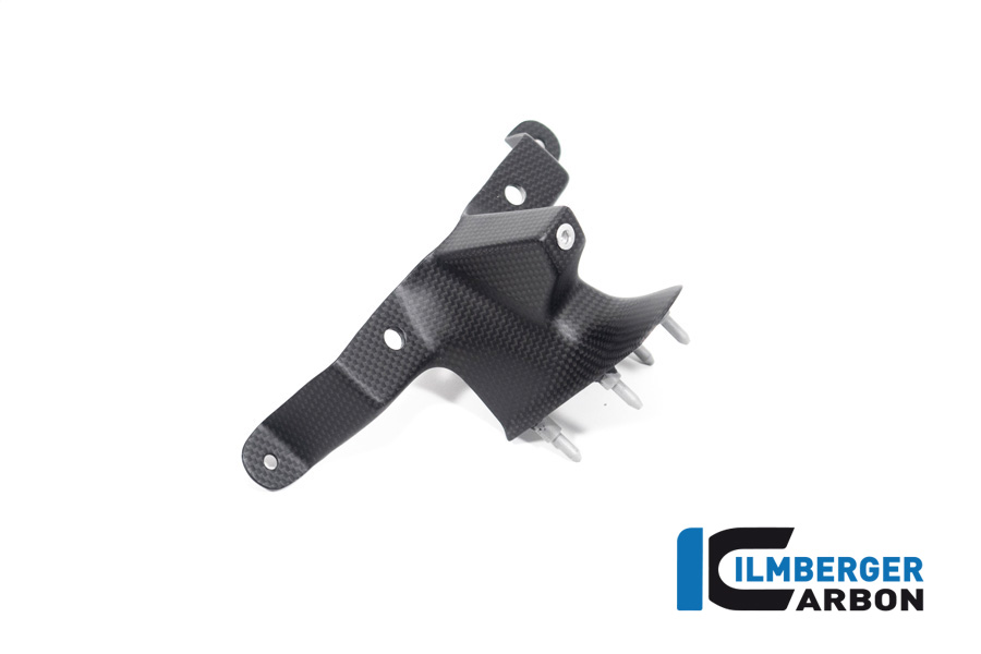 Armaturenabdeckung Carbon, Ducati Streetfighter