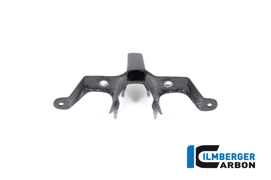 Armaturenabdeckung Carbon, Ducati Streetfighter