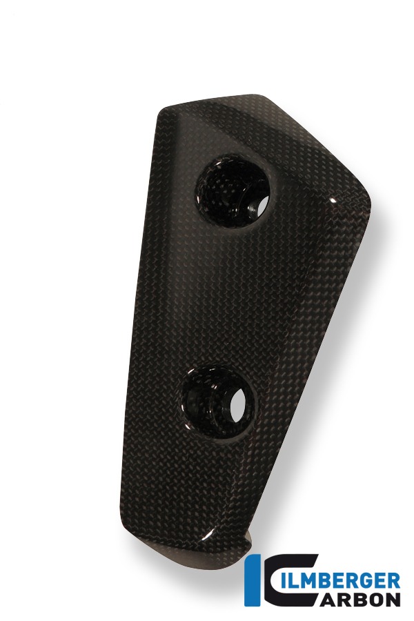 Flap am Kotflügel vorne rechts, Carbon