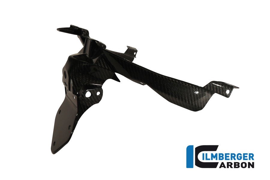 Kennzeichenträger, Carbon