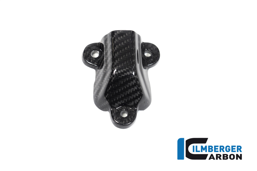 Wasserpumpendeckelabdeckung, Carbon