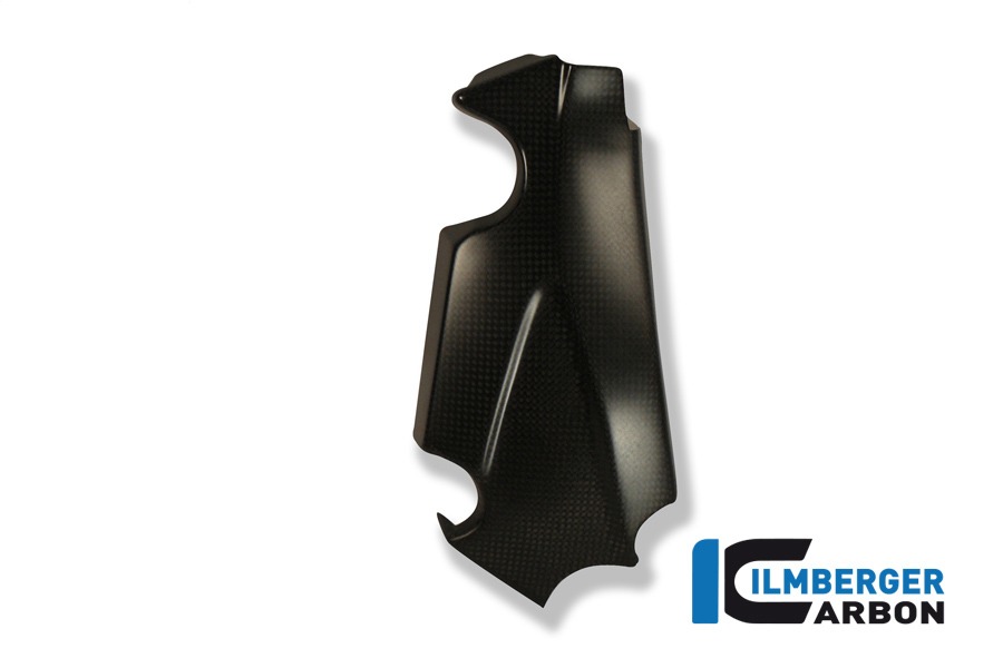 Rahmenabdeckung links, Carbon