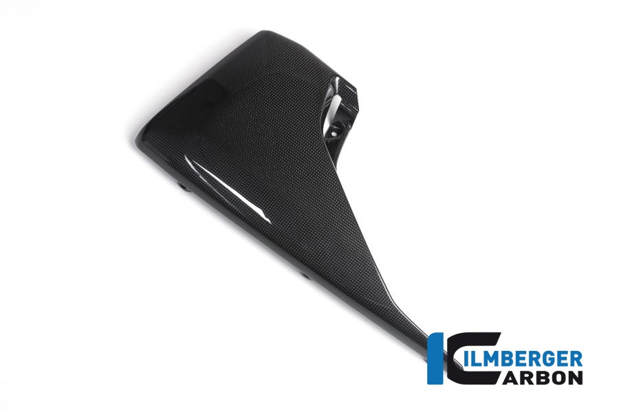 Motorspoiler links glanz