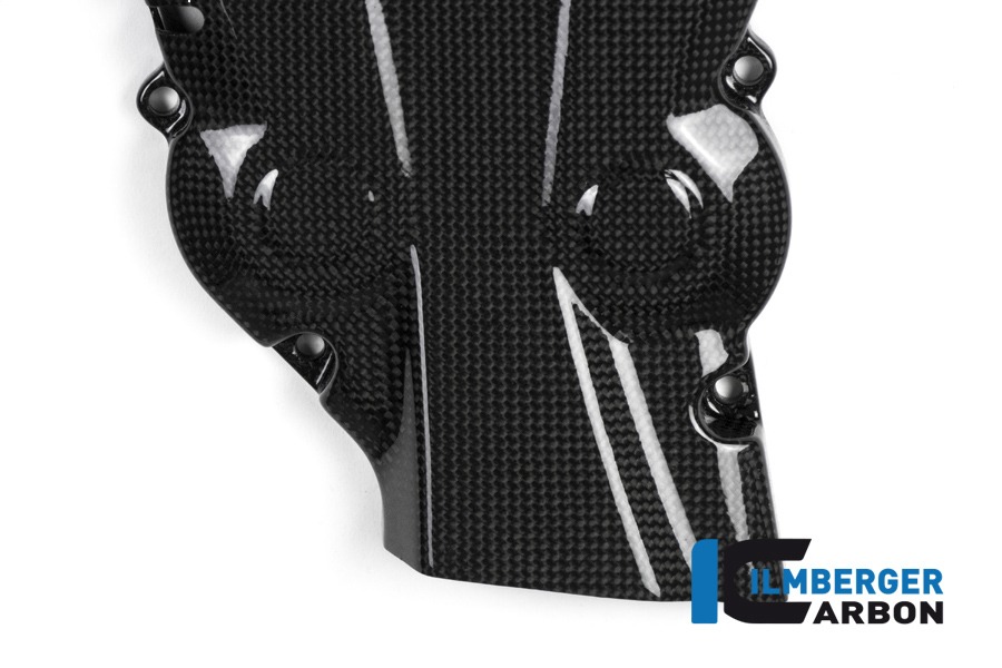Zahnriemenabdeckung vertikal glanz, Carbon