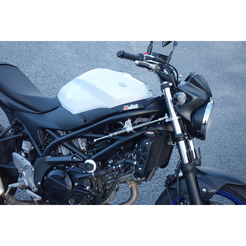 MPATLSL-100S137T