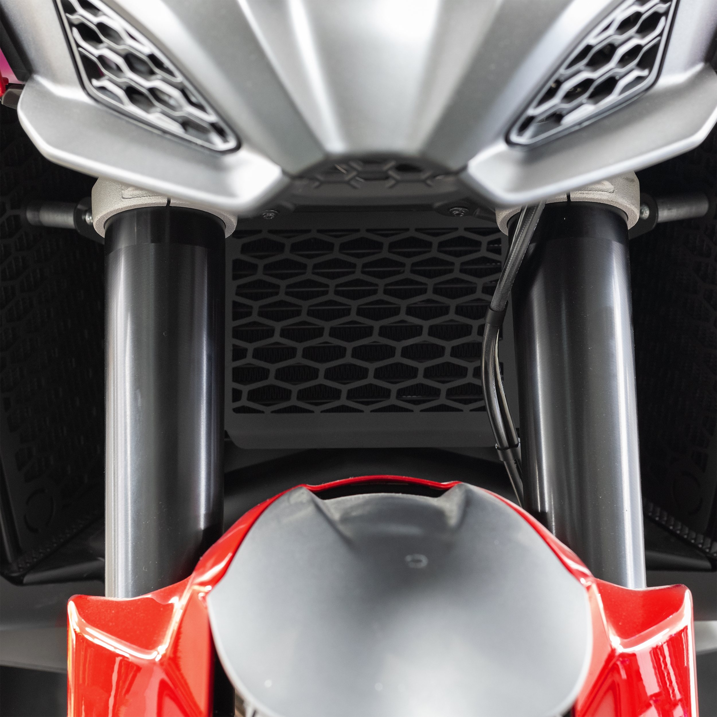 Kühlerabdeckung für Ducati Multistrada V4 Rally (2