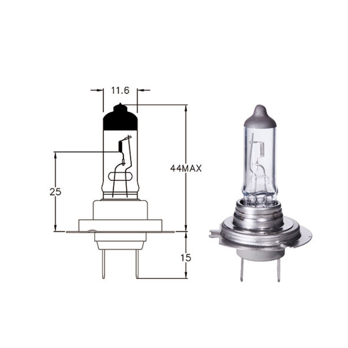 MPHS039019