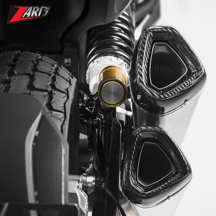 Zard | Slip on | Indian FTR 1200 | Euro4