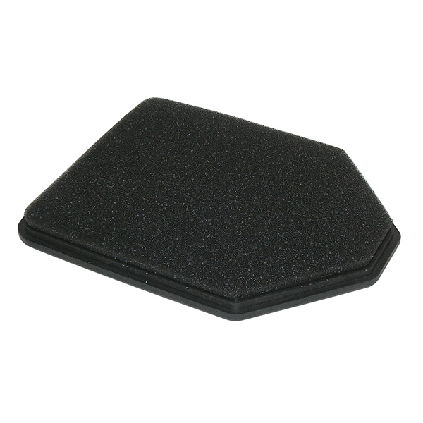 MPLS264609