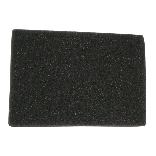 MPLS264650