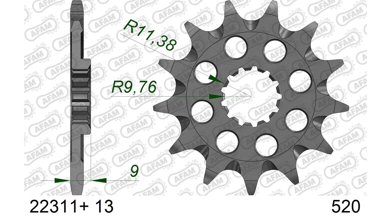 Ritzel AFAM 520 - 13Z 22311+13 mit Schlammrille
