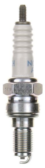 MPLS5956660