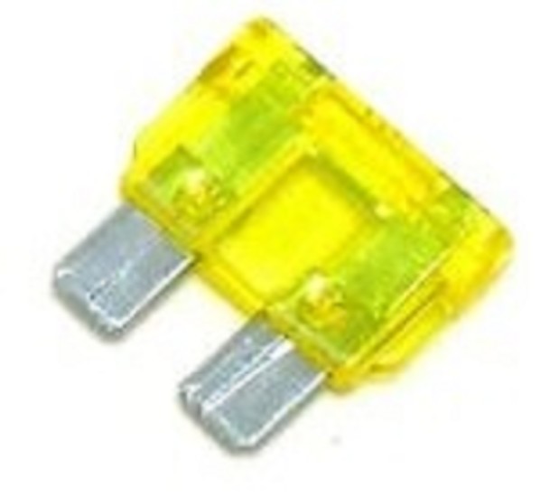 MPLS602095