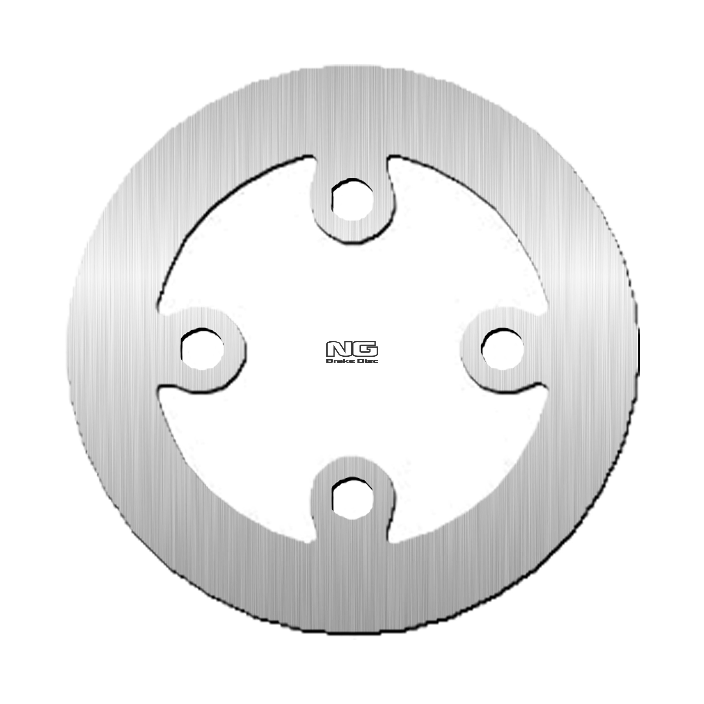 Bremsscheibe NG 670 173 mm, starr (FXD)