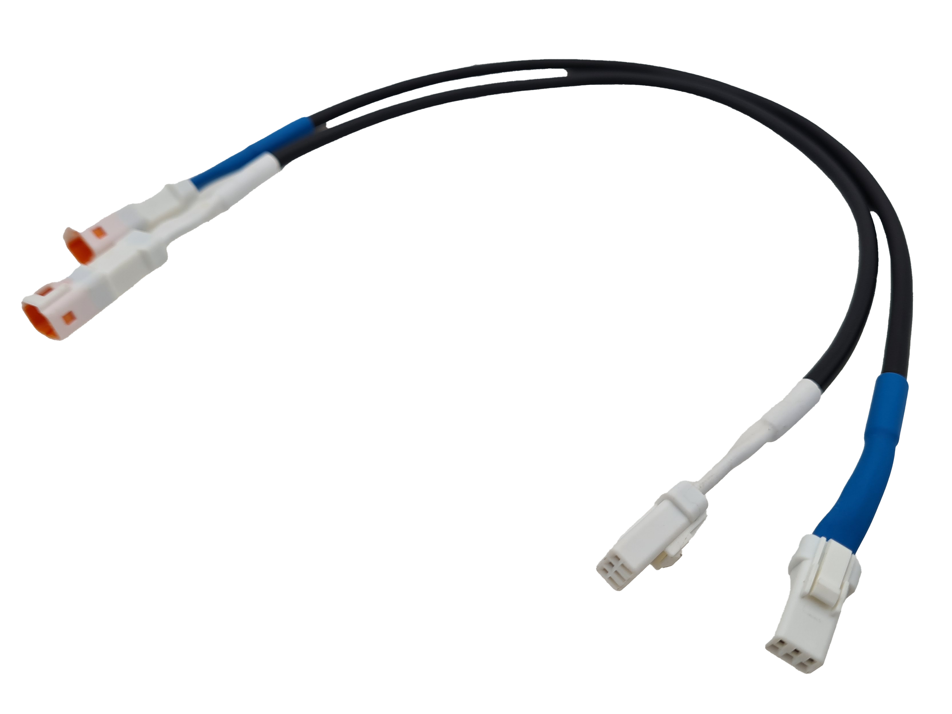 MPLS71700010