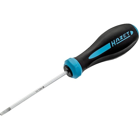 Schraubendreher Torx T20H mit Loch
