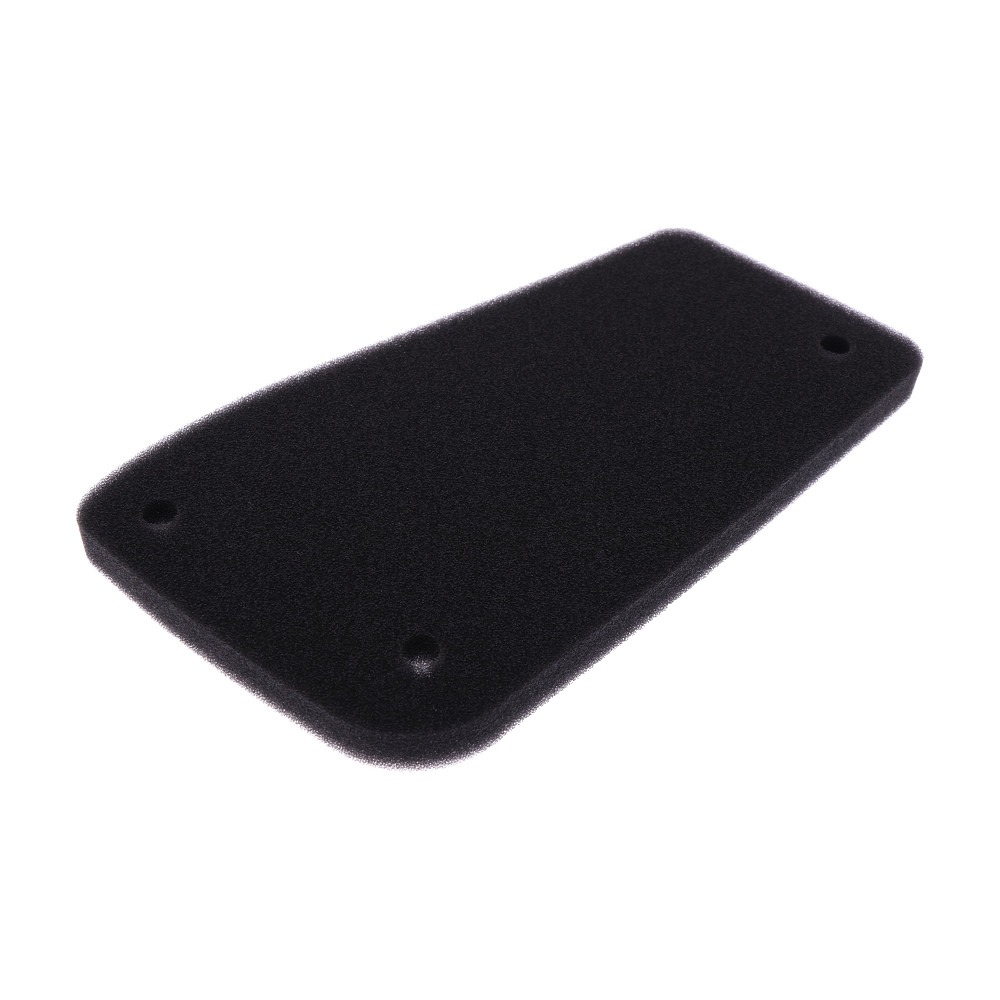 Luftfilter Foam Athena Alternative: 7233468