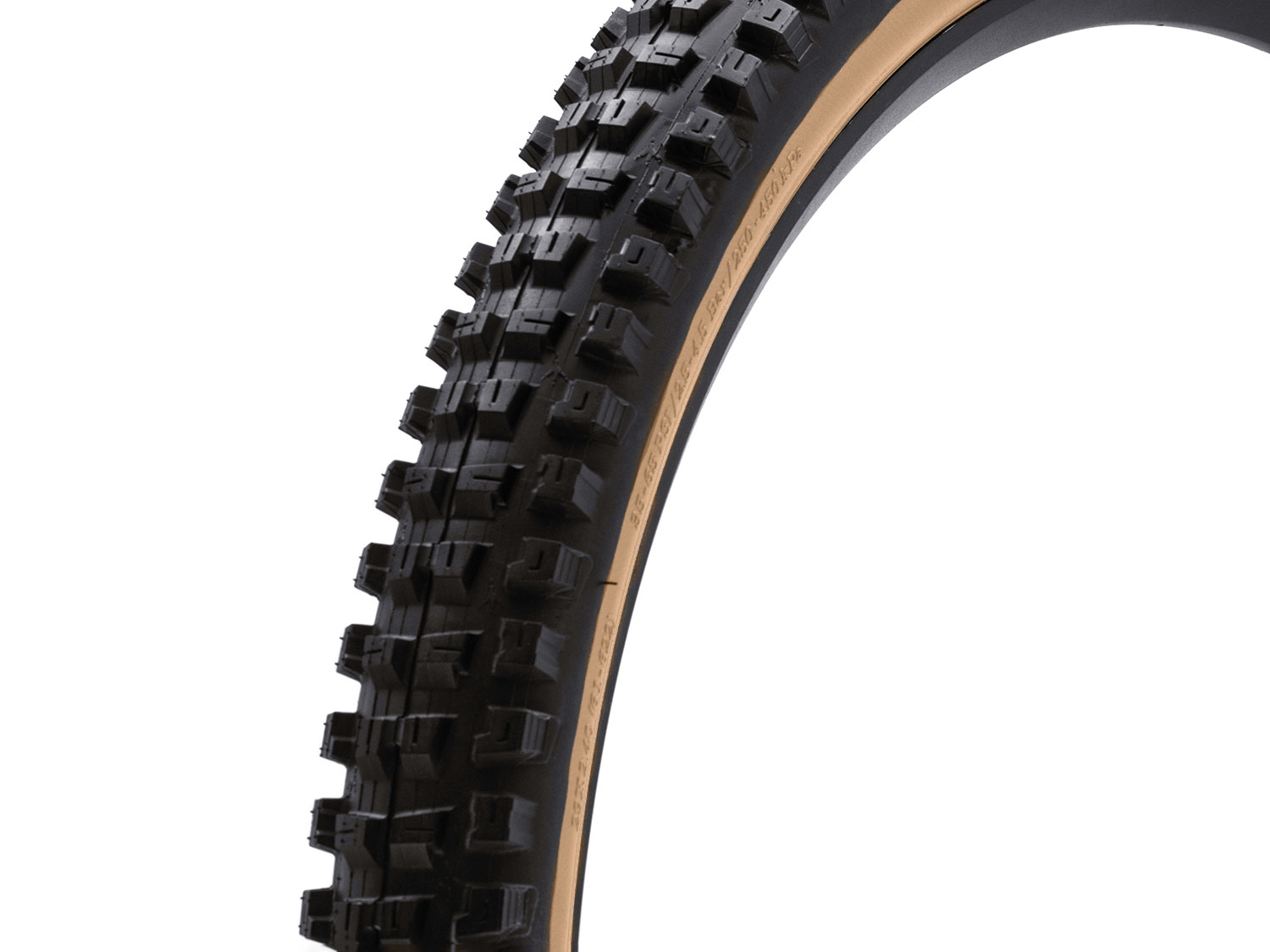MPNSON-TIR-0054/2298/29"
