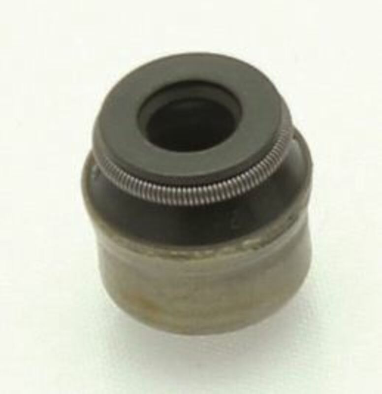 MPPW1003517