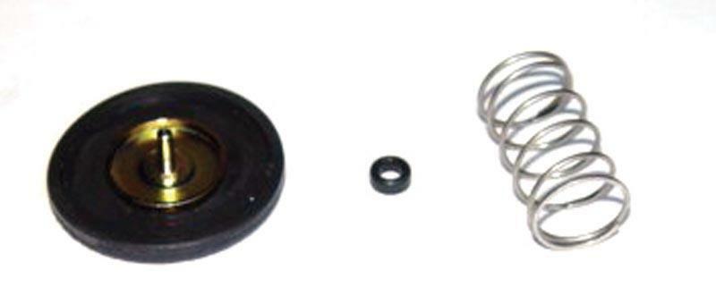 MPPW1003747