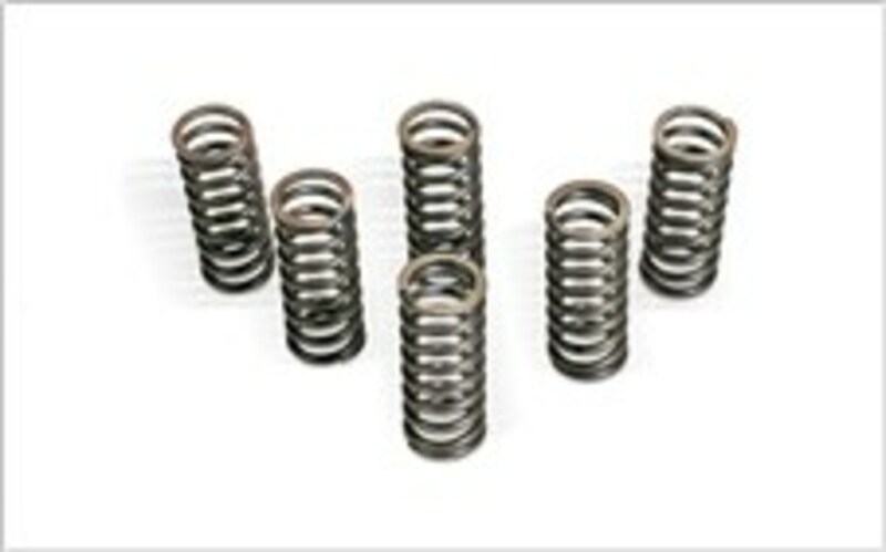 KUPPLUNGSFEDER-KIT FÜR RM250 06-08
