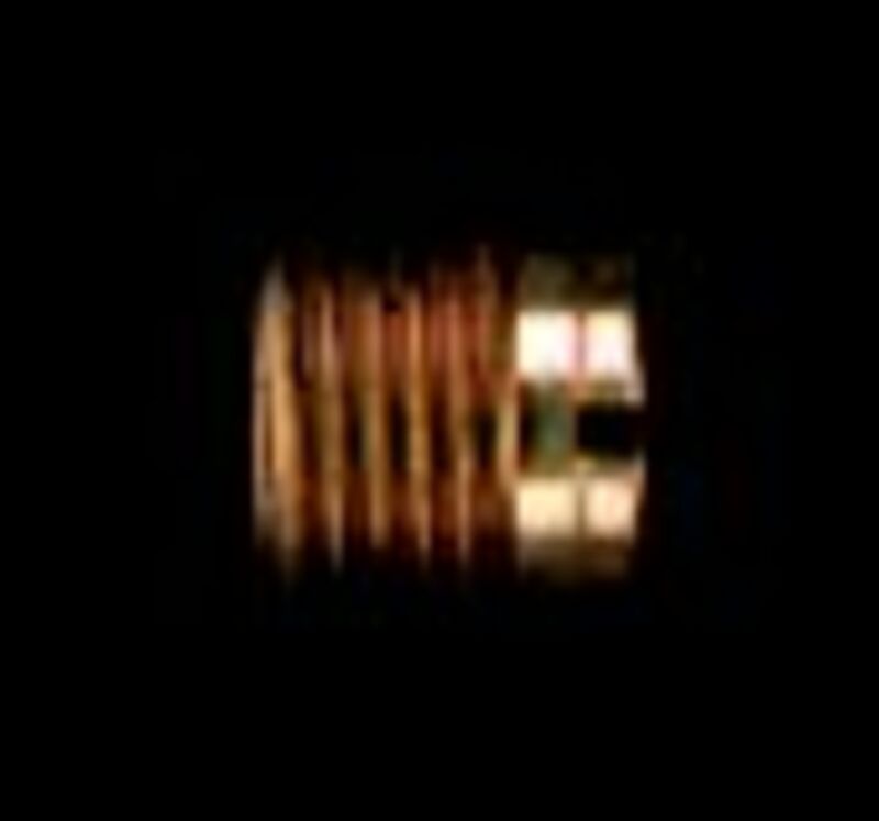 MPPW1009210