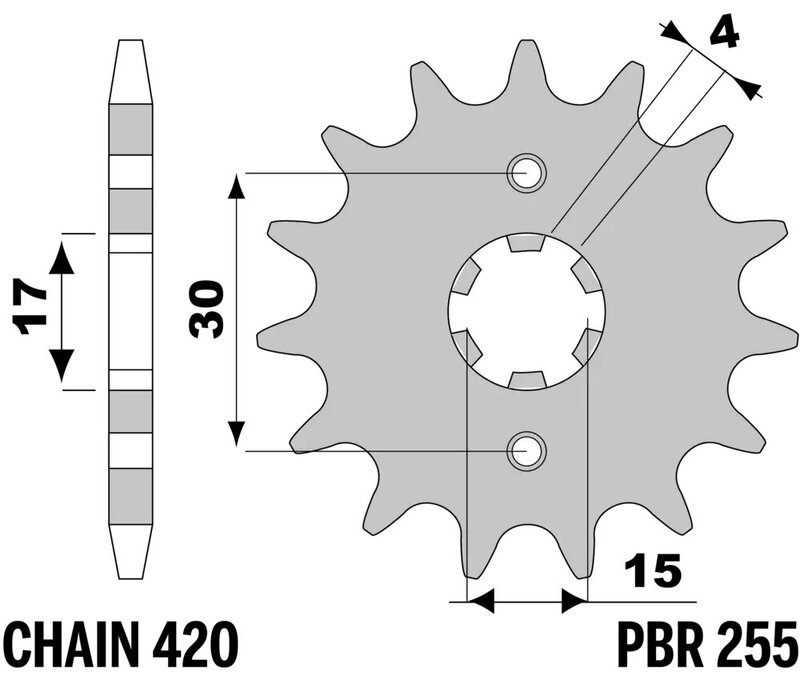 PBR Standard Stahlritzel vorne - 420