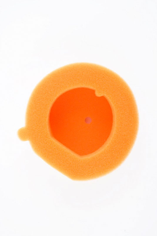 MPPW1096996
