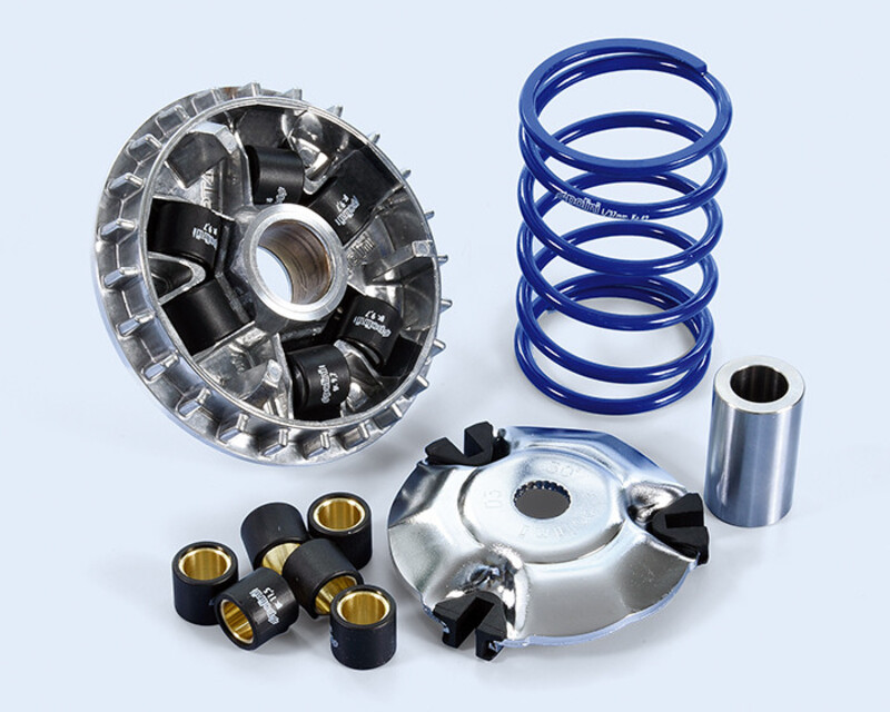 POLINI Variator