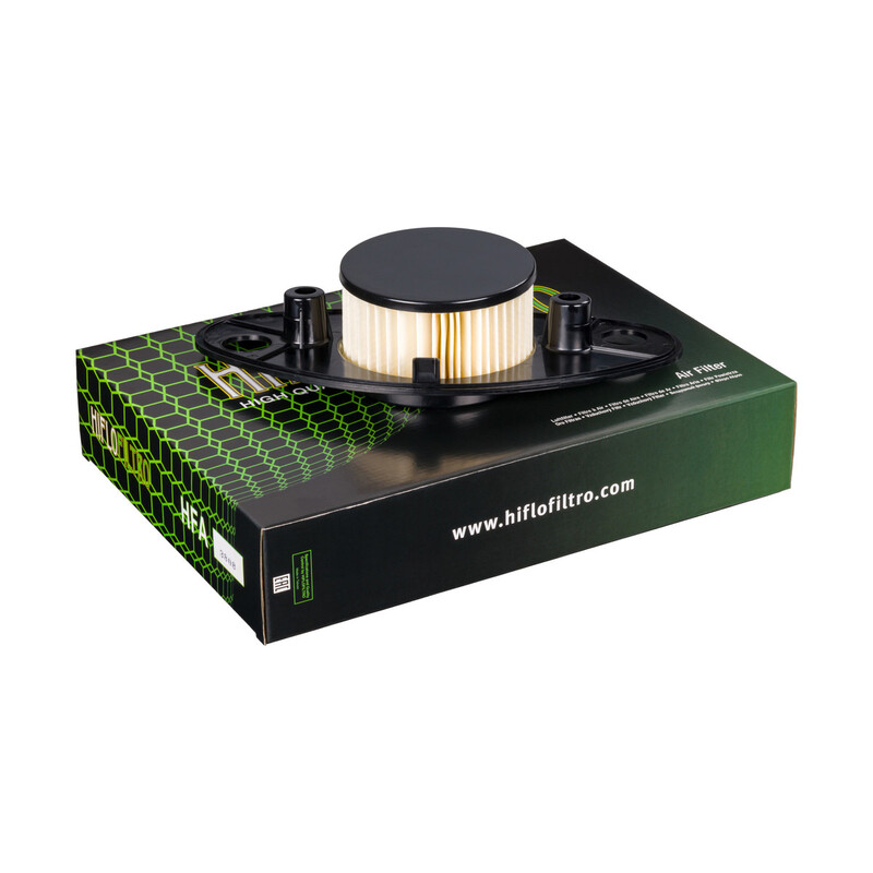 HIFLOFILTRO Luftfilter - HFA3808