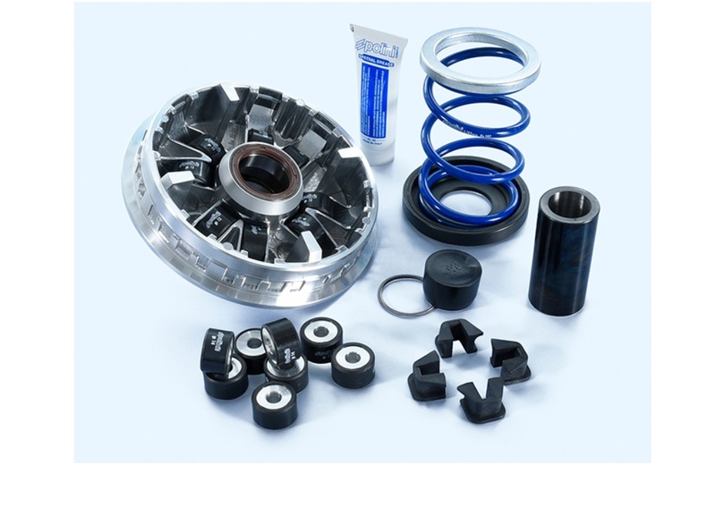 POLINI High Speed Variator